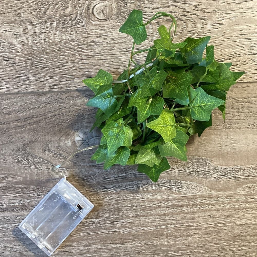 Dolls Kill Current Mood Obsession Box Faux Ivy Twinkle Glow Fairy String Lights.